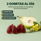 2 gomitas al día con 2,000 mg de gordolobo, sabor pera, sin gelatina y sin colorantes