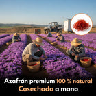 Azafrán premium 100 % natural cosechado a mano